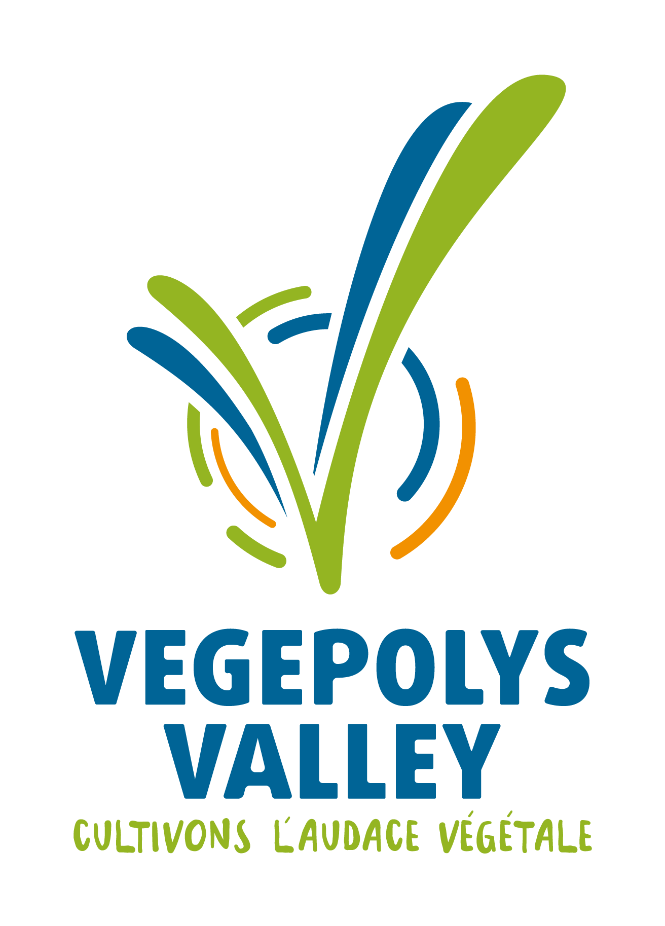 Logo VEGEPOLYS VALLEY